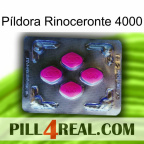 Píldora Rinoceronte 4000 02